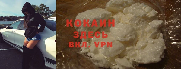 прущие грибы Баксан