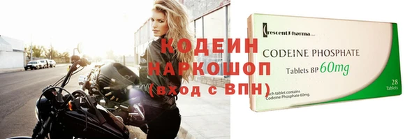 шишки Белоозёрский
