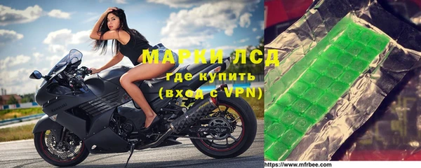 прущие грибы Баксан