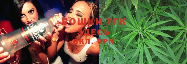 прущие грибы Баксан
