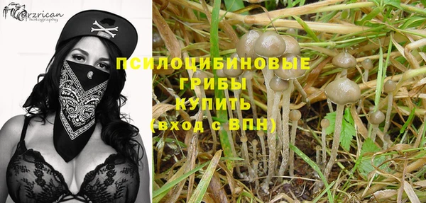 каннабис Белокуриха
