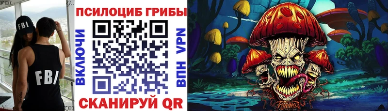 площадка официальный сайт  blacksprut вход  Гудермес  цена наркотик  Галлюциногенные грибы Magic Shrooms 